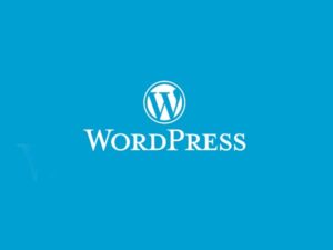 software-volution-wordpress-cms-600px